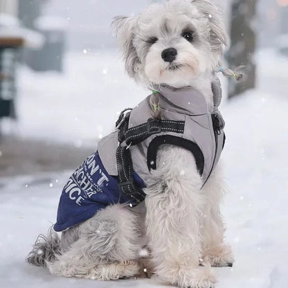 Dog Coat for Winter-blue
