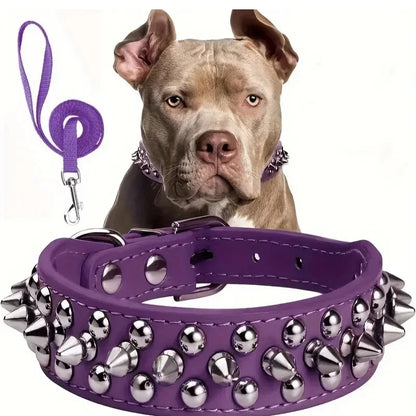 Dog-Collar-Apex-Spiked-Leather-Collar-_-Adjustable-Lead-Set-005