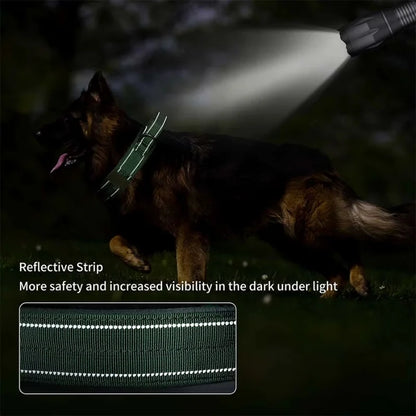 Dog-Collar-Aron-Tactical-Control-05