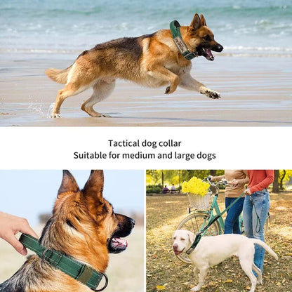 Dog-Collar-Aron-Tactical-Control-06