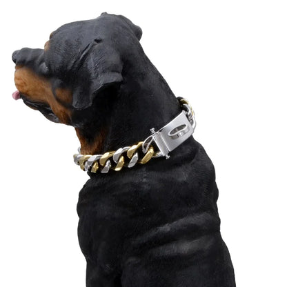 Dog Collar Ascot Cuban Link Bold Style, Solid Steel