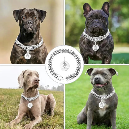 Dog Collar Ascot Cuban Link Bold Style, Solid Steel