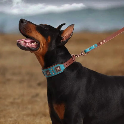 Dog-Collar-Bergen-Leather-blue