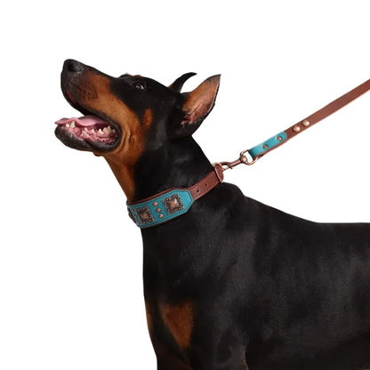 Dog-Collar-Bergen-Leather-001