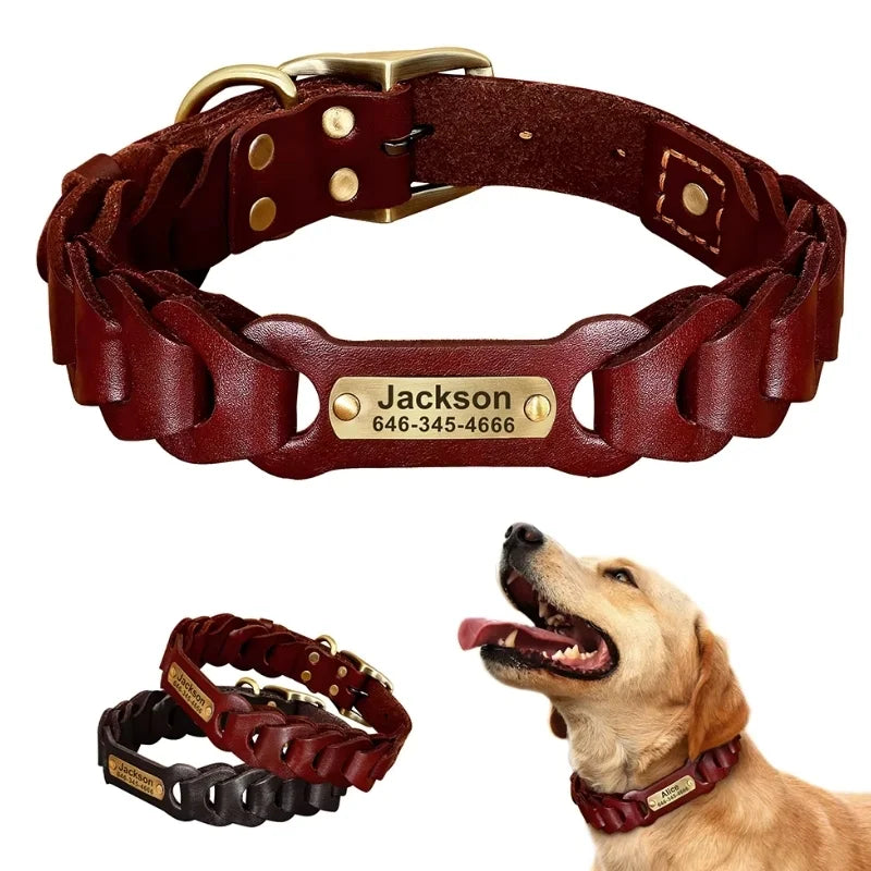 Dog-Collar-Colt-Genuine-Leather-01