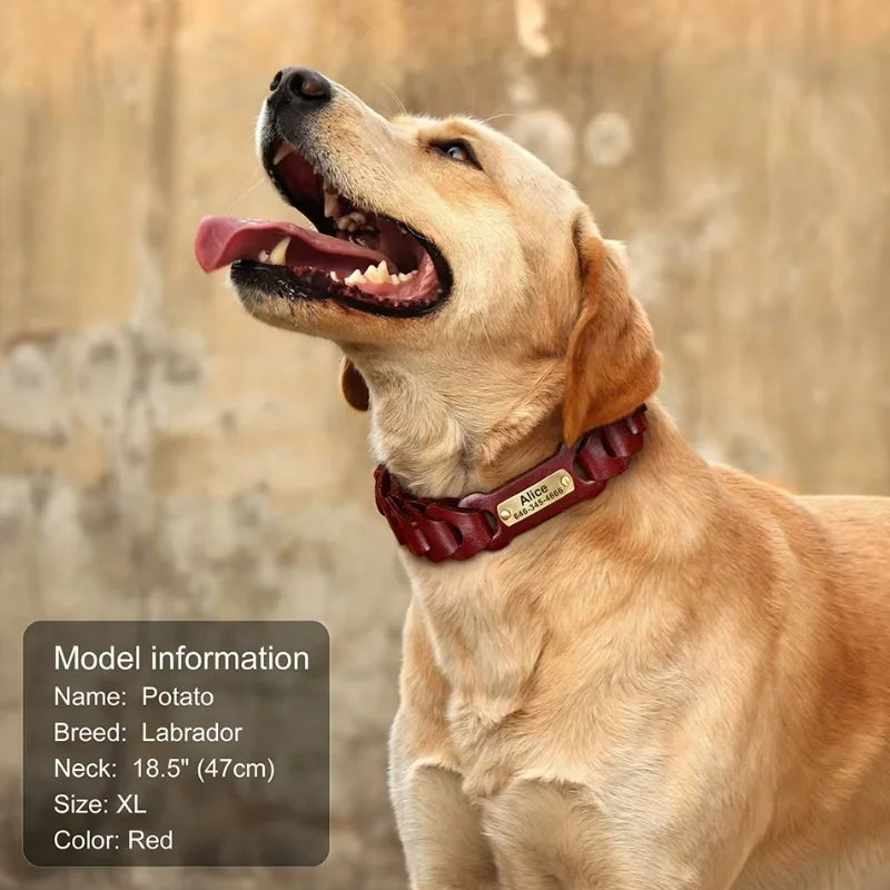 Dog-Collar-Colt-Genuine-Leather-info