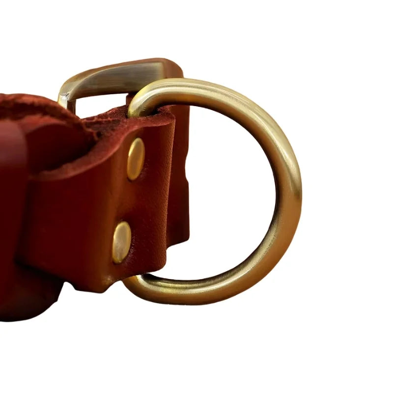 Dog-Collar-Colt-Genuine-Leather-details