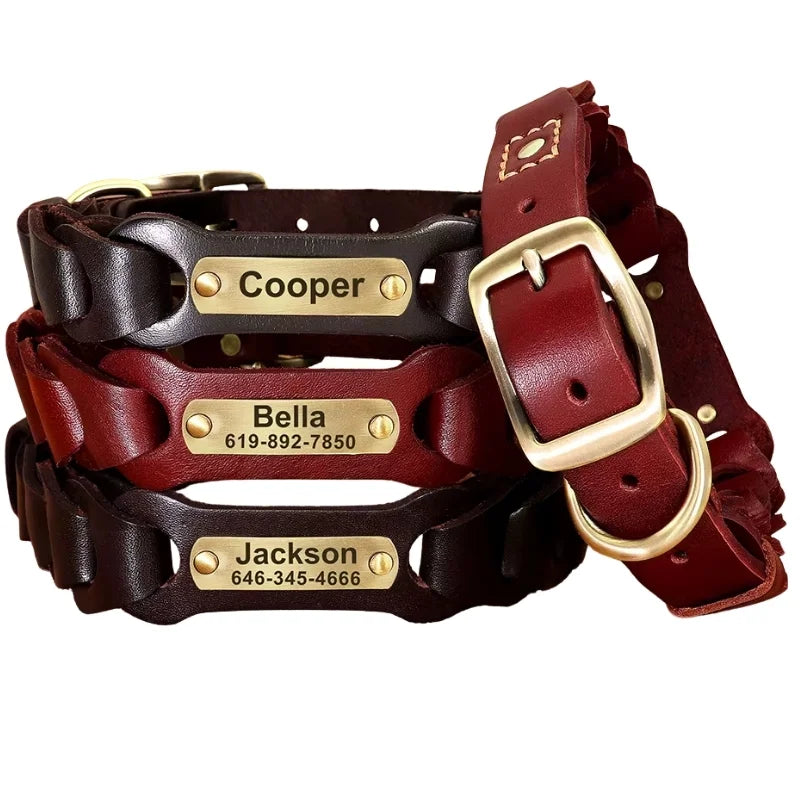 Dog-Collar-Colt-Genuine-Leather-options02