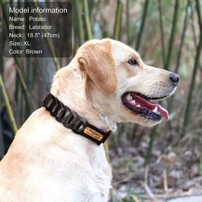 Dog-Collar-Colt-Genuine-Leather-07
