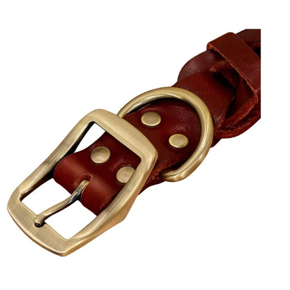 Dog-Collar-Colt-Genuine-Leather