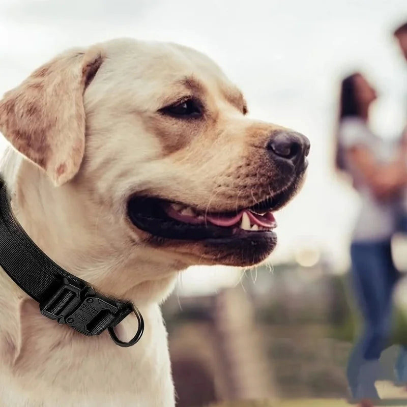 Dog-Collar-Fjord-Tactical-Nylon-Collar-with-Control-Handle-collar