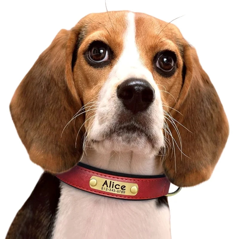 Dog-Collar-Hyde-Personalised-Timeless-Leather_-Made-Personal
