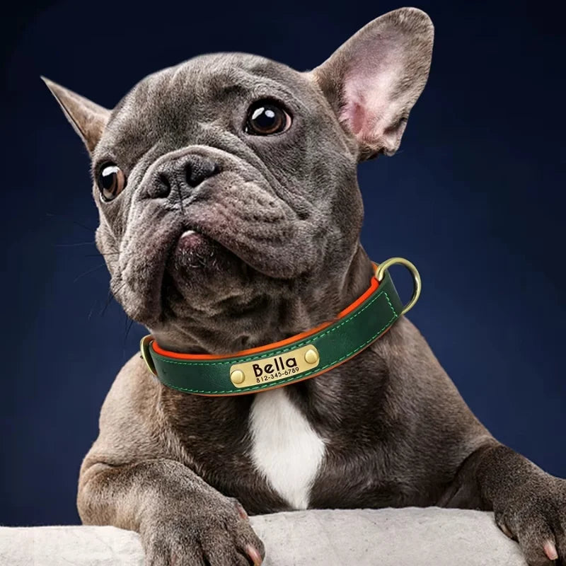 Dog-Collar-Hyde-Personalised-Timeless-Leather_-Made-Personal-02