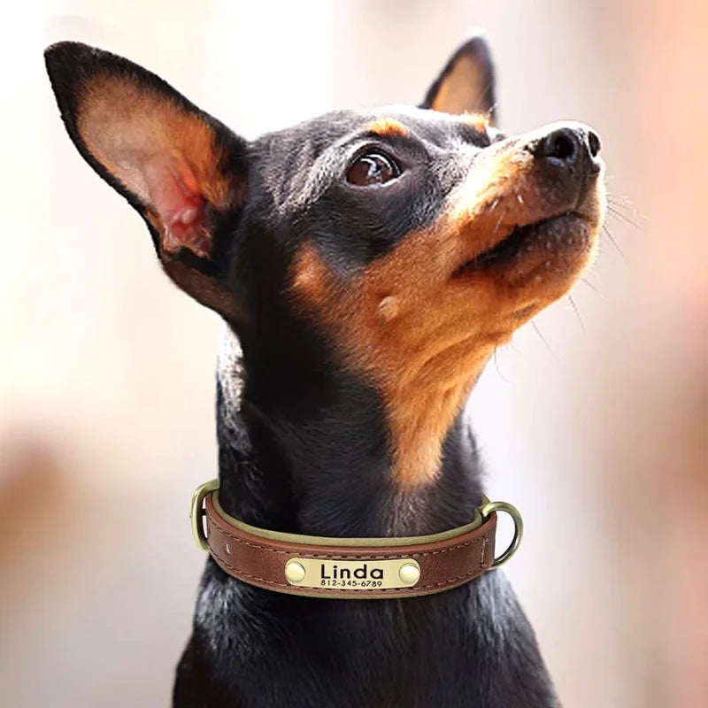 Dog-Collar-Hyde-Personalised-Timeless-Leather_-Made-Personal-03