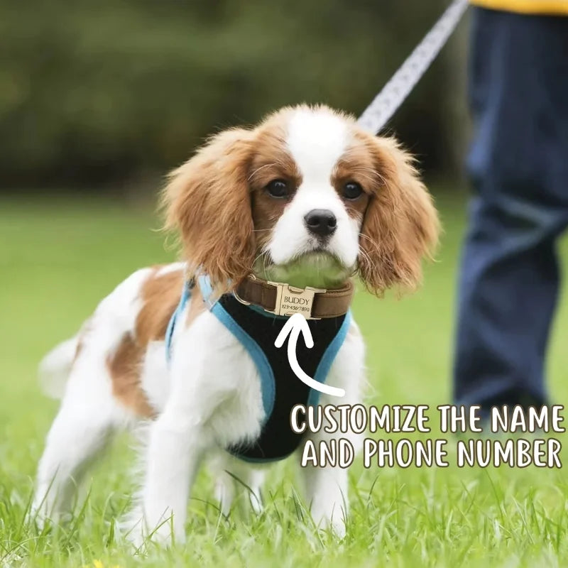 Dog-Collar-Ischia-Velvet-Personalised-9