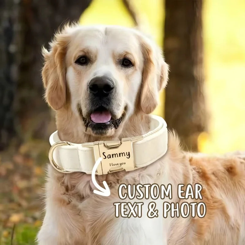 Dog-Collar-Ischia-Velvet-Personalised-.08