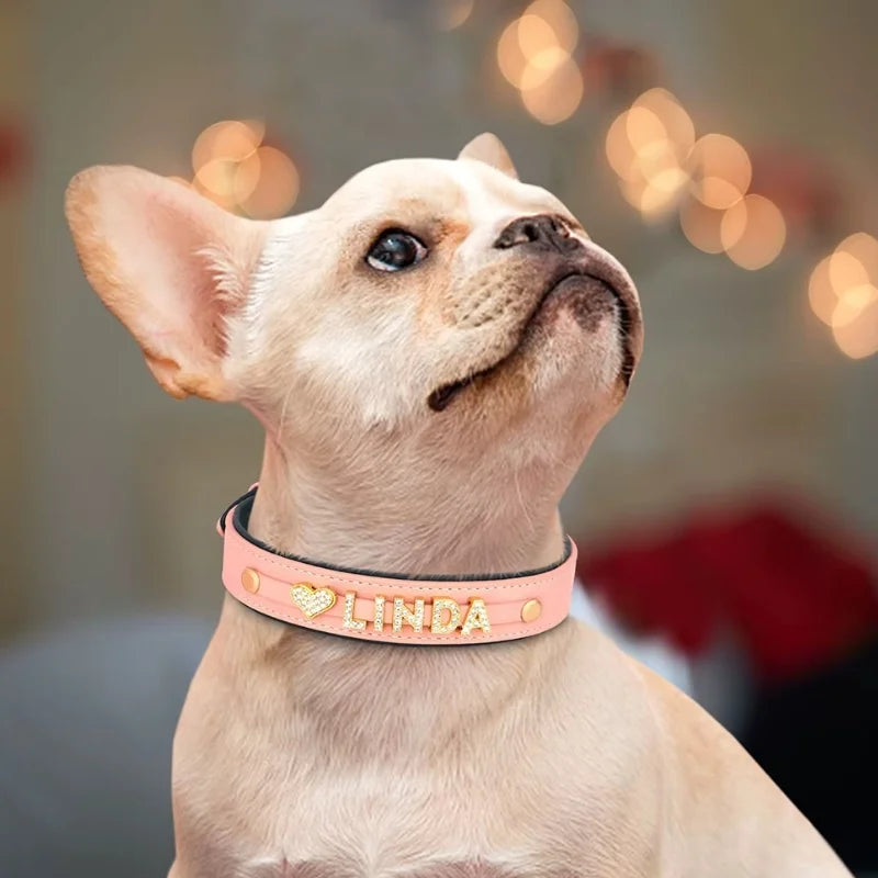 Dog-Collar-Riva-Personalised-01