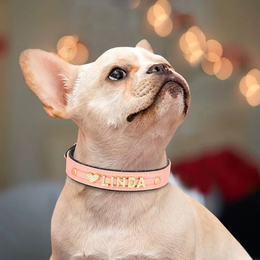Dog-Collar-Riva-Personalised-01