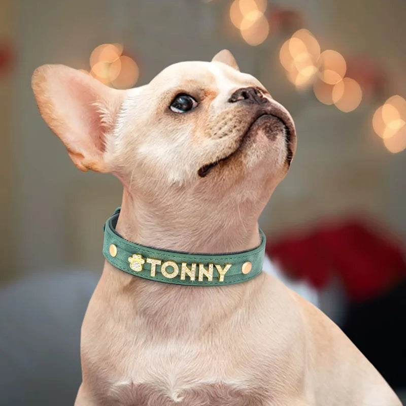 Dog-Collar-Riva-Personalised-03