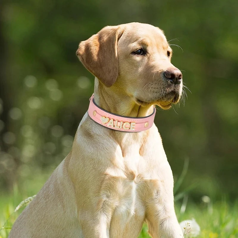 Dog-Collar-Riva-Personalised-07