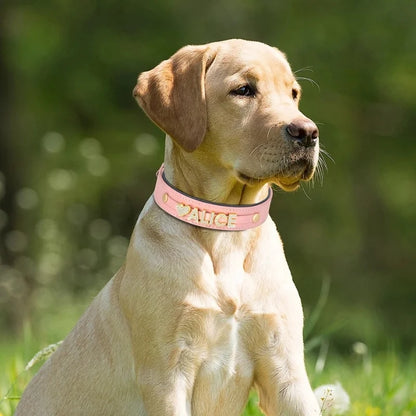 Dog-Collar-Riva-Personalised-07