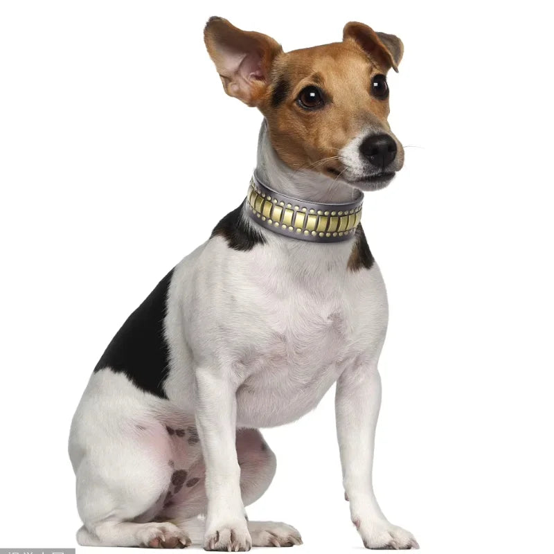 Dog Collar Rocco Wide Leather — A Bold Two-Inch Statement
