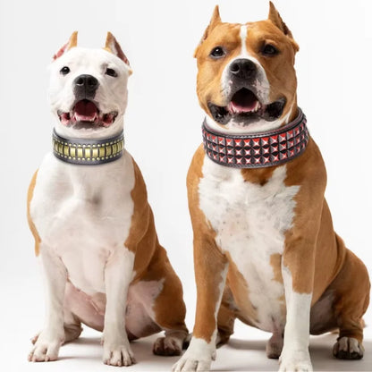 Dog Collar Rocco Wide Leather — A Bold Two-Inch Statement