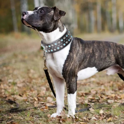 Dog Collar Rocco Wide Leather — A Bold Two-Inch Statement
