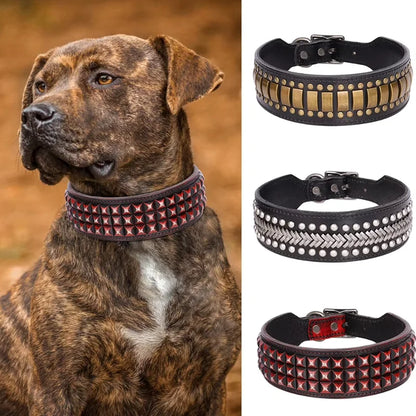 Dog Collar Rocco Wide Leather — A Bold Two-Inch Statement