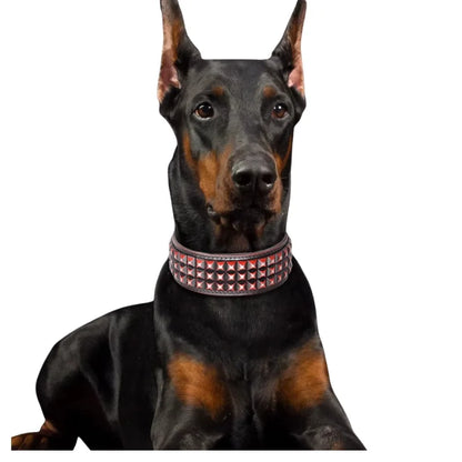 Dog Collar Rocco Wide Leather — A Bold Two-Inch Statement