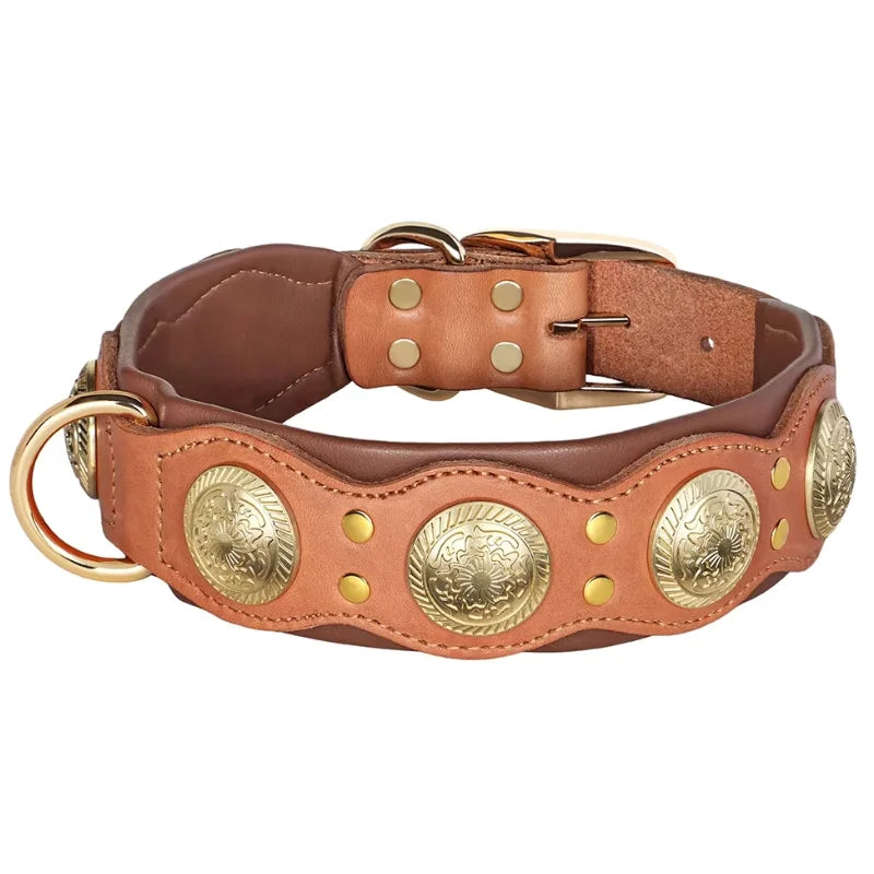 Dog-Collar-Siena-Studded-Leather-brouwn