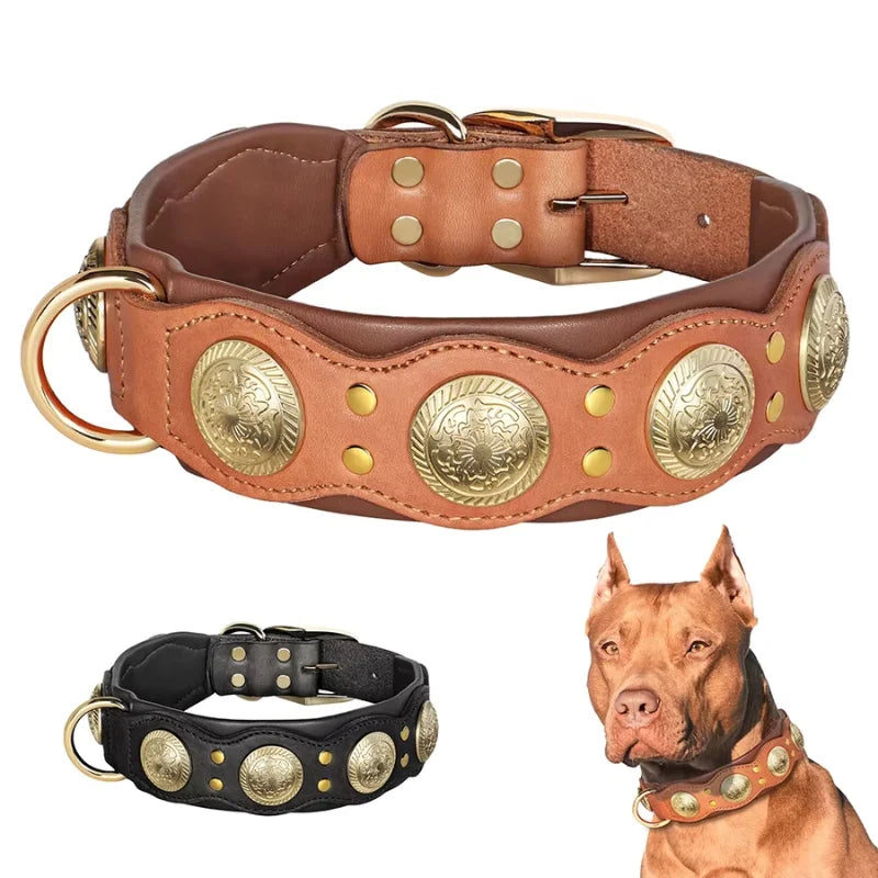 Dog-Collar-Siena-Studded-Leather-002