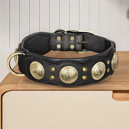 Dog-Collar-Siena-Studded-Leather-black