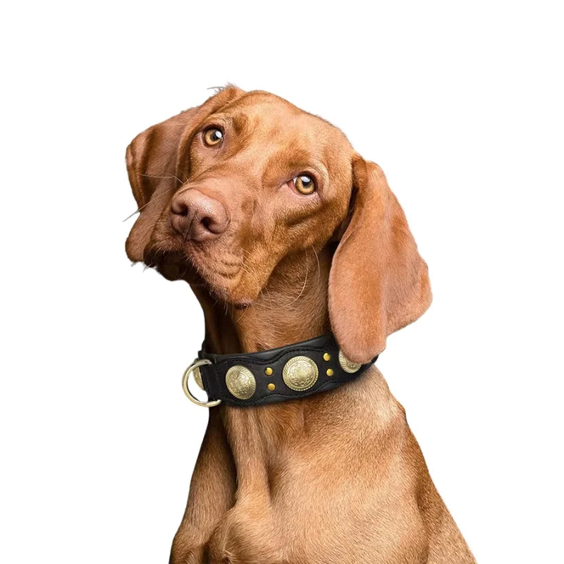 Dog-Collar-Siena-Studded-Leather-003