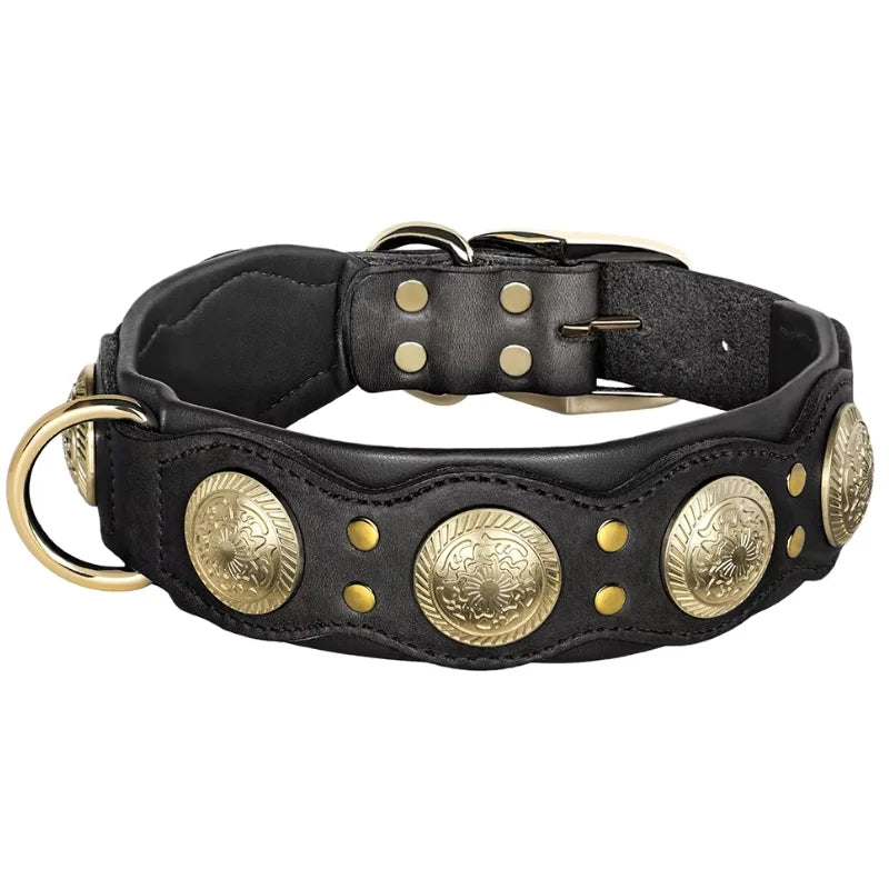 Dog-Collar-Siena-Studded-Leather-black 01