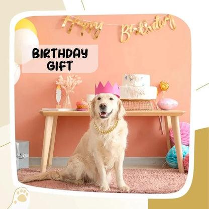 Dog-Collars-Lumy-Luxury-Gold_Jewellery-007