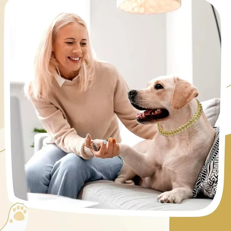 Dog-Collars-Lumy-Luxury-Gold_Jewellery-004