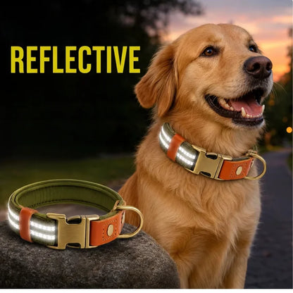 Dog-Collars-Svea-Retro-Reflective-Timeless-Style-