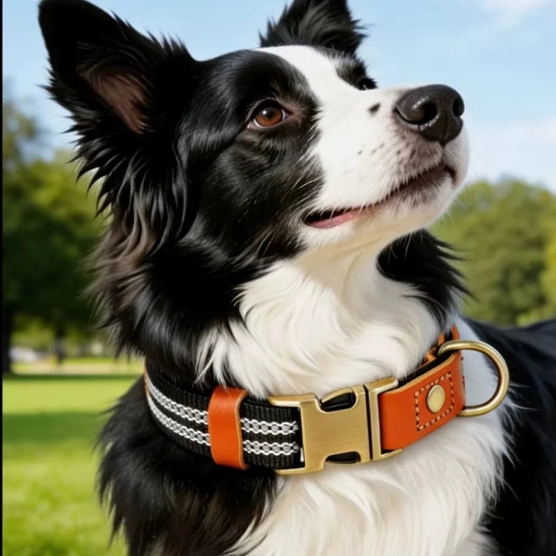 Dog-Collars-Svea-Retro-Reflective-Timeless-Style-details02