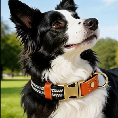 Dog-Collars-Svea-Retro-Reflective-Timeless-Style-details02