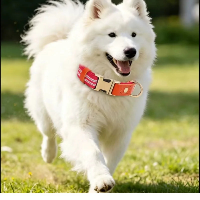 Dog-Collars-Svea-Retro-Reflective-Timeless-Style-03
