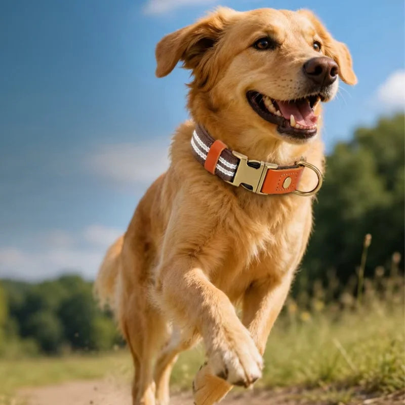 Dog-Collars-Svea-Retro-Reflective-Timeless-Style-07