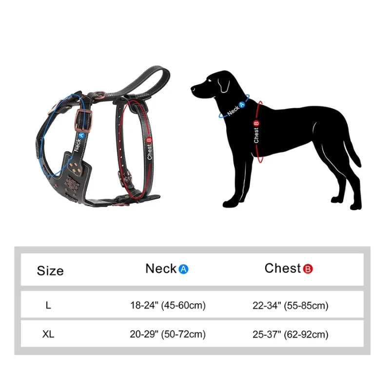 Dog-Harness-Astridye-Riveted-Leather-size