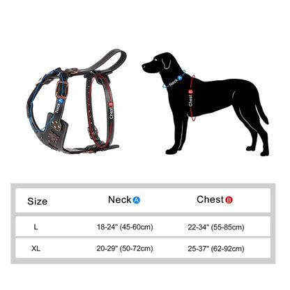 Dog-Harness-Astridye-Riveted-Leather-size