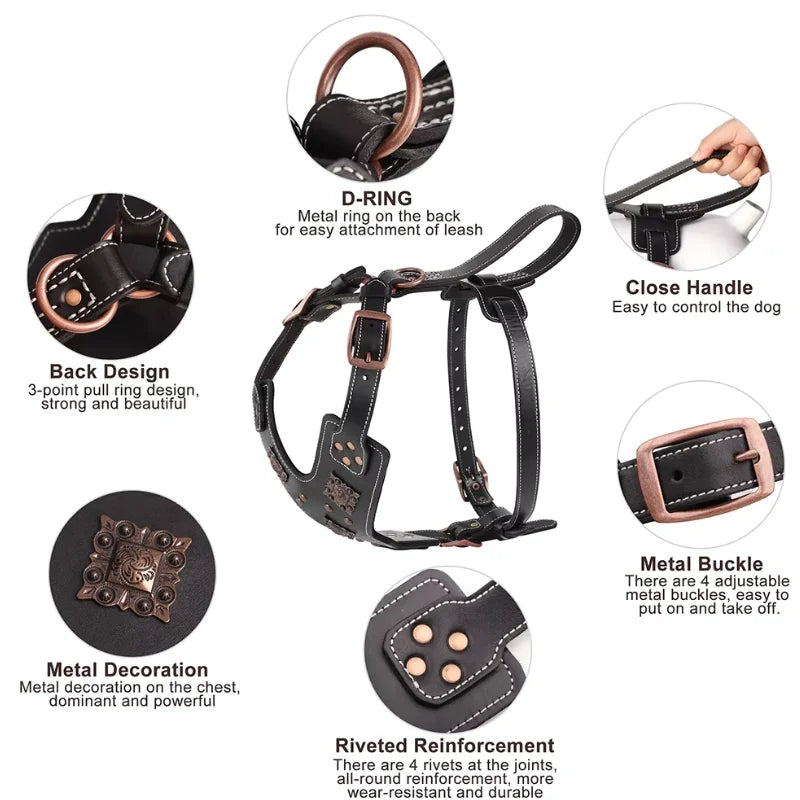 Dog-Harness-Astridye-Riveted-Leather-details  005