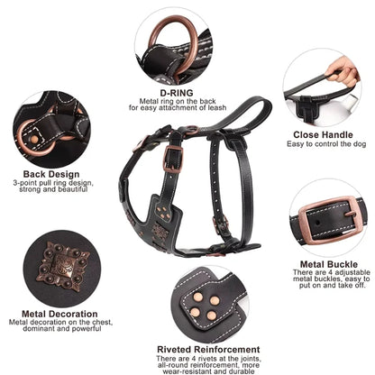 Dog-Harness-Astridye-Riveted-Leather-details  005
