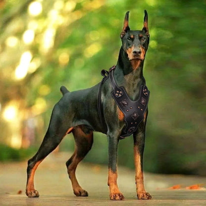 Dog-Harness-Astridye-Riveted-Leather-0006