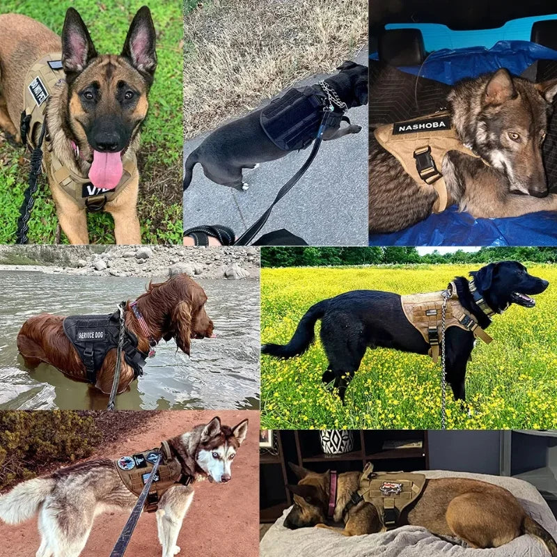 Dog-Harness-Dulwich-Tactical-options