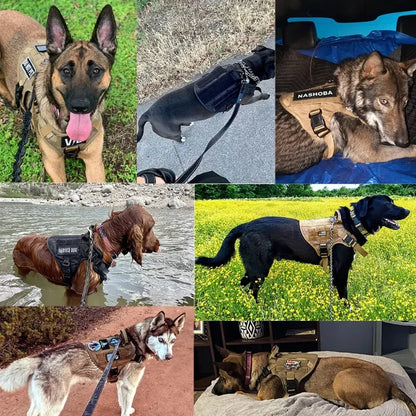 Dog-Harness-Dulwich-Tactical-options