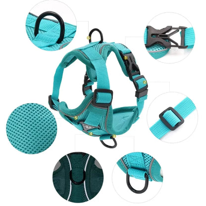 Dog-Harness-Luce-Illuminated-Set-details
